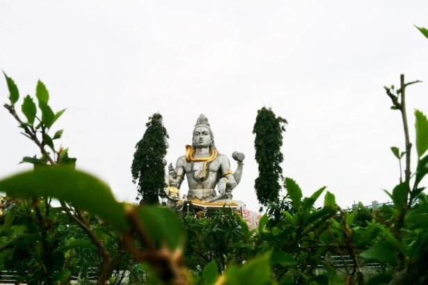 Chandrapur Municipal Corporation 2017 Election Results: Party Performance Analysis