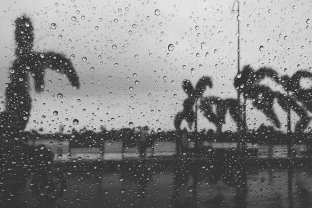 Dhule Corporators Performance Review: What Changed in Past 7 Years