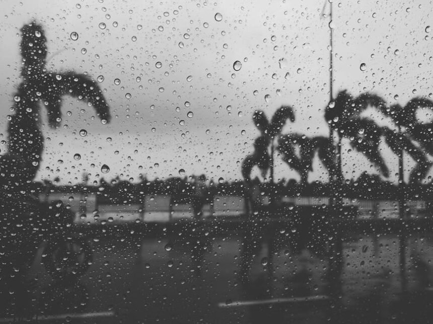 Dhule Corporators Performance Review: What Changed in Past 7 Years