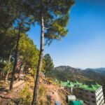 Jalna Municipal Corporation 2017 Election Results: Party Performance Analysis