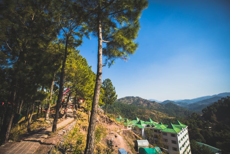 Jalna Municipal Corporation 2017 Election Results: Party Performance Analysis