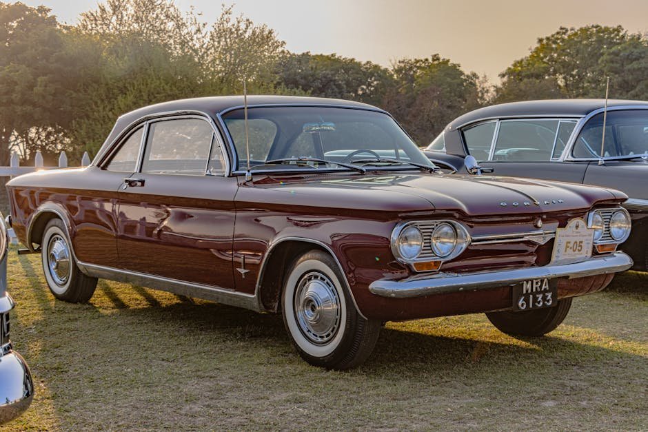 Jalna Polling Stations 2026: Where to Vote on January 15 - Complete List