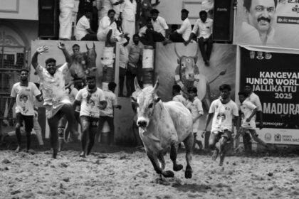 Mira-Bhayandar Municipal Corporation 2017 Election Results: Party Performance Analysis