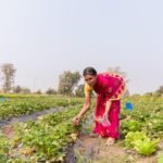 Nagpur Municipal Elections 2026: Complete Voter Guide and Schedule