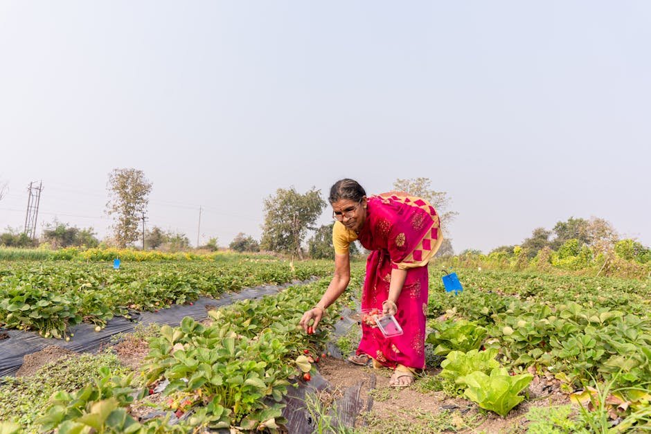 Nagpur Municipal Elections 2026: Complete Voter Guide and Schedule