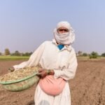 Nagpur Municipal Corporation 2017 Election Results: Party Performance Analysis