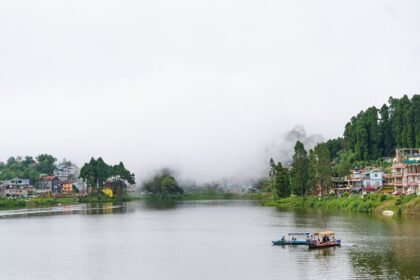 Nashik Municipal Corporation 2017 Election Results: Party Performance Analysis