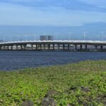 Navi Mumbai Corporators Performance Review: What Changed in Past 7 Years