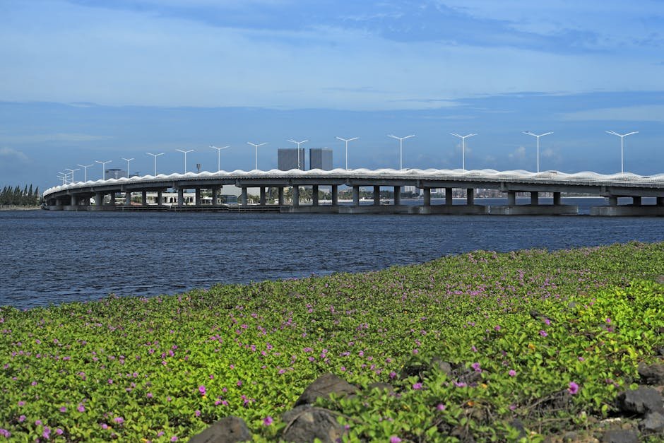 Navi Mumbai Corporators Performance Review: What Changed in Past 7 Years