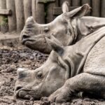 Pimpri-Chinchwad Municipal Elections 2026: Complete Voter Guide and Schedule