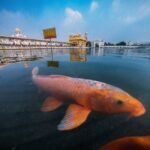 Pune Corporators Performance Review: What Changed in Past 7 Years