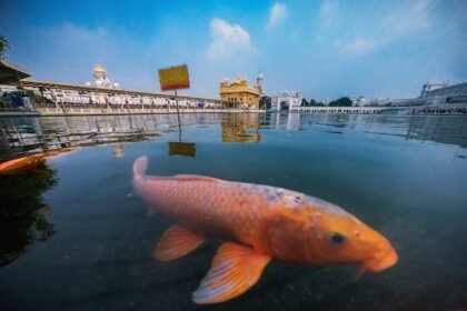 Pune Corporators Performance Review: What Changed in Past 7 Years