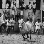 Solapur Polling Stations 2026: Where to Vote on January 15 - Complete List